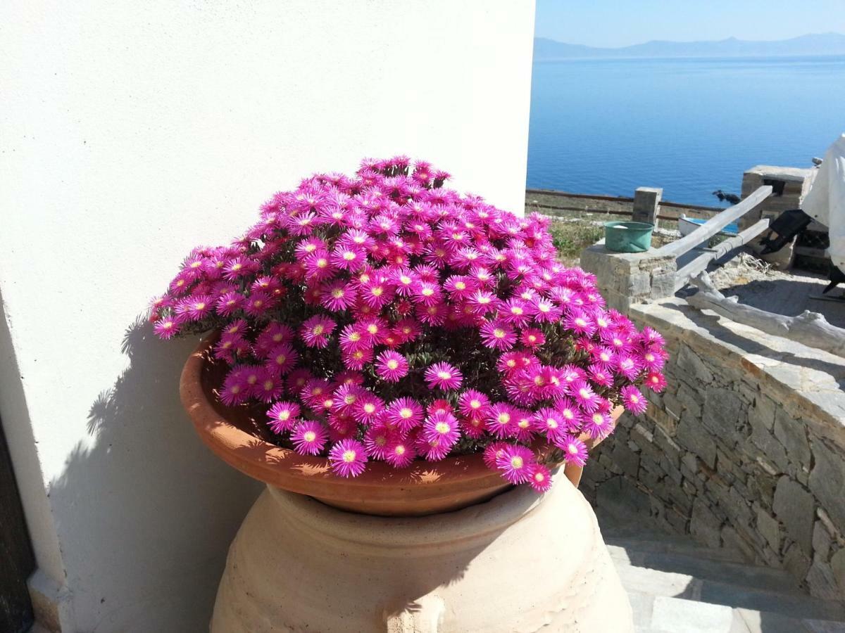 Aegean View - Seaside Apartment In Syros Азолимнос Екстериор снимка